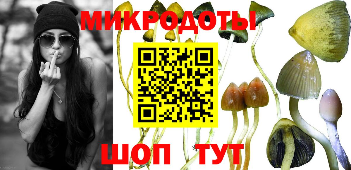 Галлюциногенные грибы MAGIC MUSHROOMS Губкинский